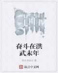 奋斗在洪武末年