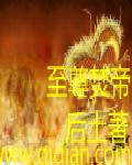 至尊焚帝