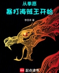 从拳愿暴打海贼王开始